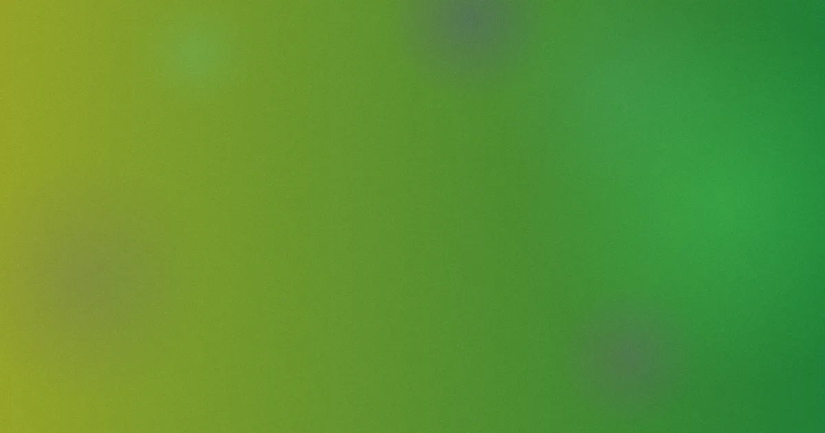 色色的网站怎么用：一次安全上手对比